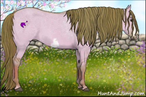 Horse Color:Watercolor Red Dun Frame