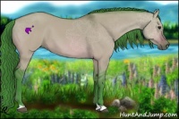 Horse Color:Watercolor Bay Dun 