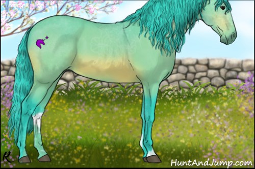 Horse Color:Watercolor Bay 