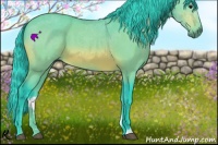 Horse Color:Watercolor Bay