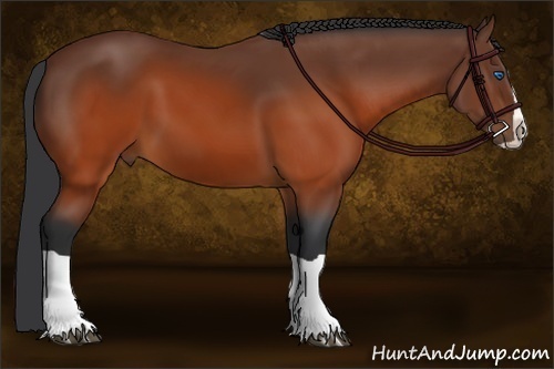 Horse Color:Brown Splash 