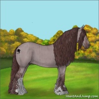 Horse Color:Chocolate Grullo Chinchilla Sabino Brindle
