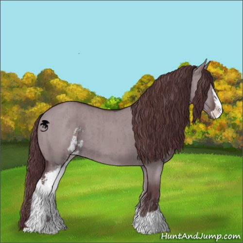 Horse Color:Chocolate Grullo Chinchilla Sabino Brindle 