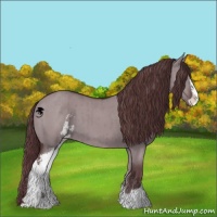 Horse Color:Chocolate Grullo Chinchilla Sabino Brindle