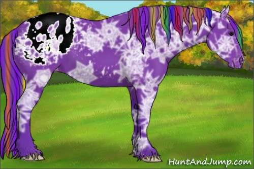 Horse Color:Painted Watercolor Black Ice Appaloosa 