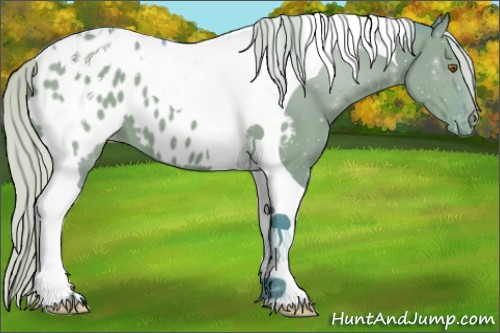 Horse Color:Watercolor Silver Grullo Tobiano Blanket 