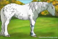 Horse Color:Watercolor Silver Grullo Tobiano Blanket 