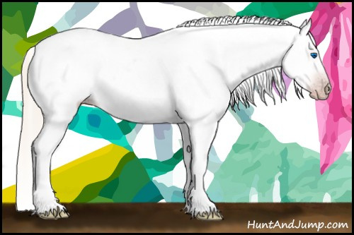 Horse Color:Gray Silver Amber Cream Champagne Roan Dun Splash Tobiano Frame Appaloosa Rabicano 