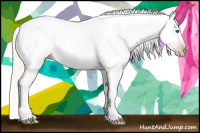 Horse Color:Gray Silver Amber Cream Champagne Roan Dun Splash Tobiano Frame Appaloosa Rabicano 