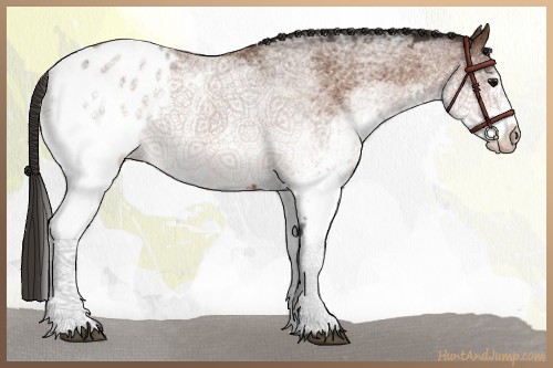 Horse Color:White Spotted Bay Blanket