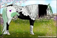 Horse Color:Watercolor Chestnut Splash Tobiano Rabicano 