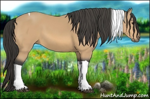 Horse Color:Buckskin Tobiano
