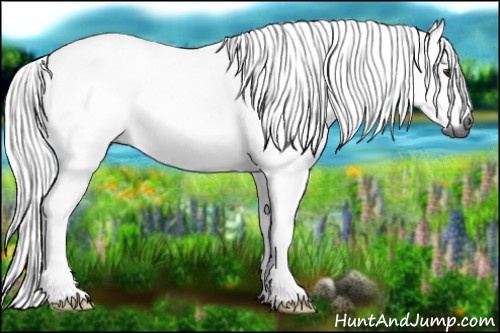 Horse Color:Gray Chestnut 