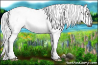 Horse Color:Gray Chestnut 