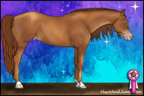 Horse Color:Gray Gold Champagne 