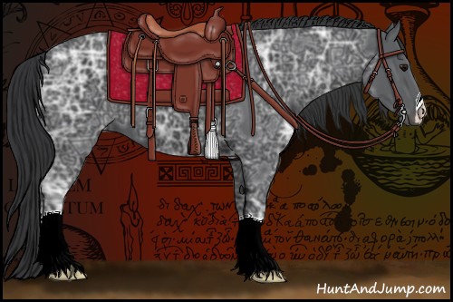 Horse Color:Black Ice 