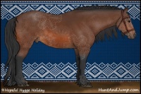 Horse Color:Bay Rabicano 