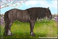 Horse Color:Grullo Sabino Splash Rabicano Brindle and Liver Chestnut Sabino Rabicano