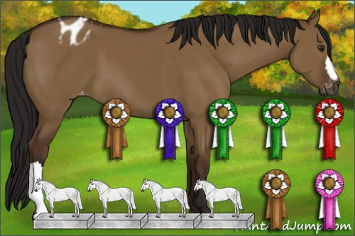 Horse Color:Gray Bay Dun Appaloosa 