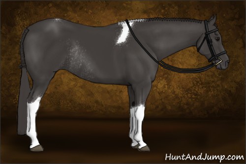 Horse Color:Smoky Black Tobiano Rabicano