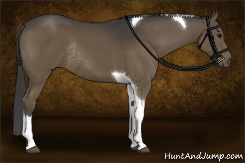 Horse Color:Smoky Black Sabino Tobiano Rabicano 