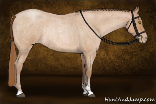 Horse Color:Bay Roan Pearl Sabino Rabicano 