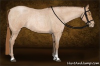 Horse Color:Bay Roan Pearl Sabino Rabicano 