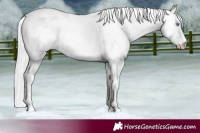 Horse Color:Silver Smoky Creme Roan Dun 