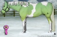 Horse Color:Palomino Tobiano
