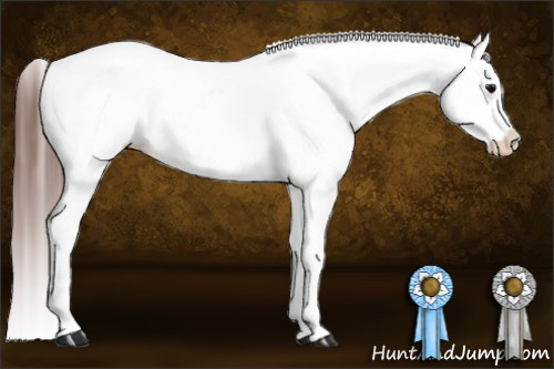Horse Color:Brown Near Leopard