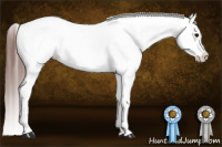 Horse Color:Brown Near Leopard