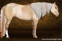 Horse Color:Buckskin Pearl Sabino Rabicano  and Silver Bay Dun Sabino Rabicano Brindle 