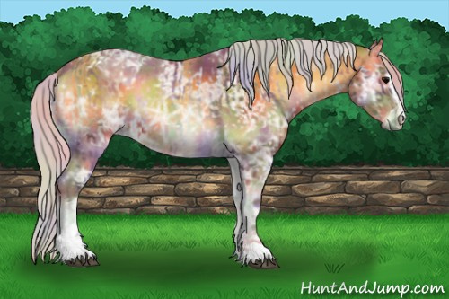 Horse Color:Nacre Silver Bay Ice Onyx Sabino Rabicano and Nacre Silver Buckskin Ice Onyx Sabino Rabicano
