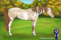 Horse Color:White Spotted Liver Red Dun Pearl 