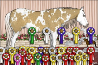 Horse Color:Gray White Spotted Palomino Dun Splash Appaloosa 