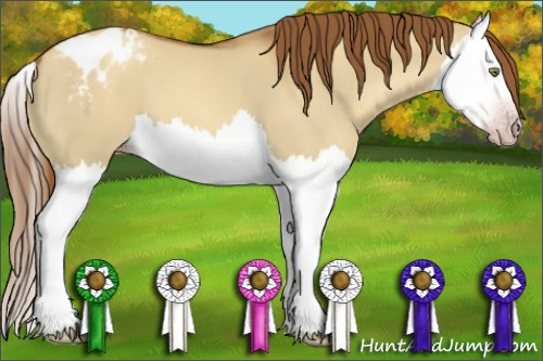 Horse Color:Gray Gold Champagne Dun Splash Appaloosa 