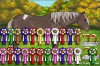 Horse Color:Silver Black Appaloosa