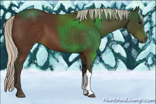 Horse Color:Silver Bay