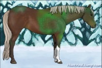 Horse Color:Silver Bay 