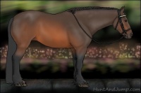 Horse Color:Brown 