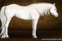 Horse Color:Cremello Splash  and Cremello Splash Frame 
