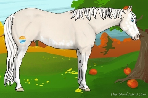 Horse Color:Cremello Splash  and Cremello Splash 