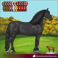 Horse Color:Black 