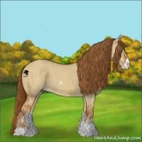 Horse Color:Red Dun Sabino Brindle 
