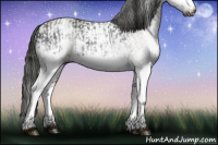 Horse Color:Gray White Spotted Smoky Black and Gray White Spotted Classic Cream Champagne