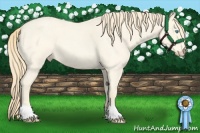 Horse Color:Perlino Roan 
