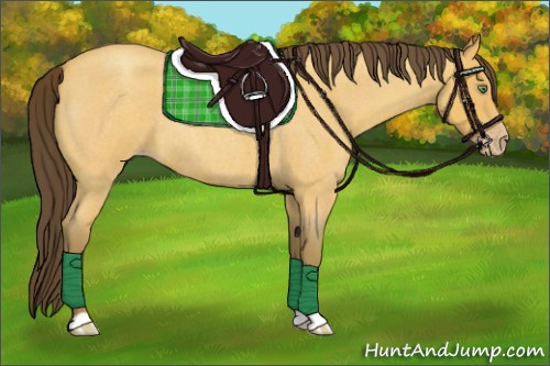 Horse Color:Amber Cream Champagne Roan