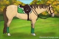 Horse Color:Amber Cream Champagne Roan 