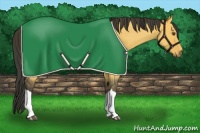 Horse Color:Buckskin Roan Dun 