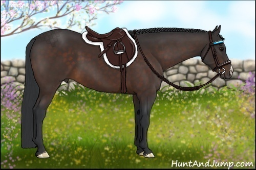 Horse Color:Brown 